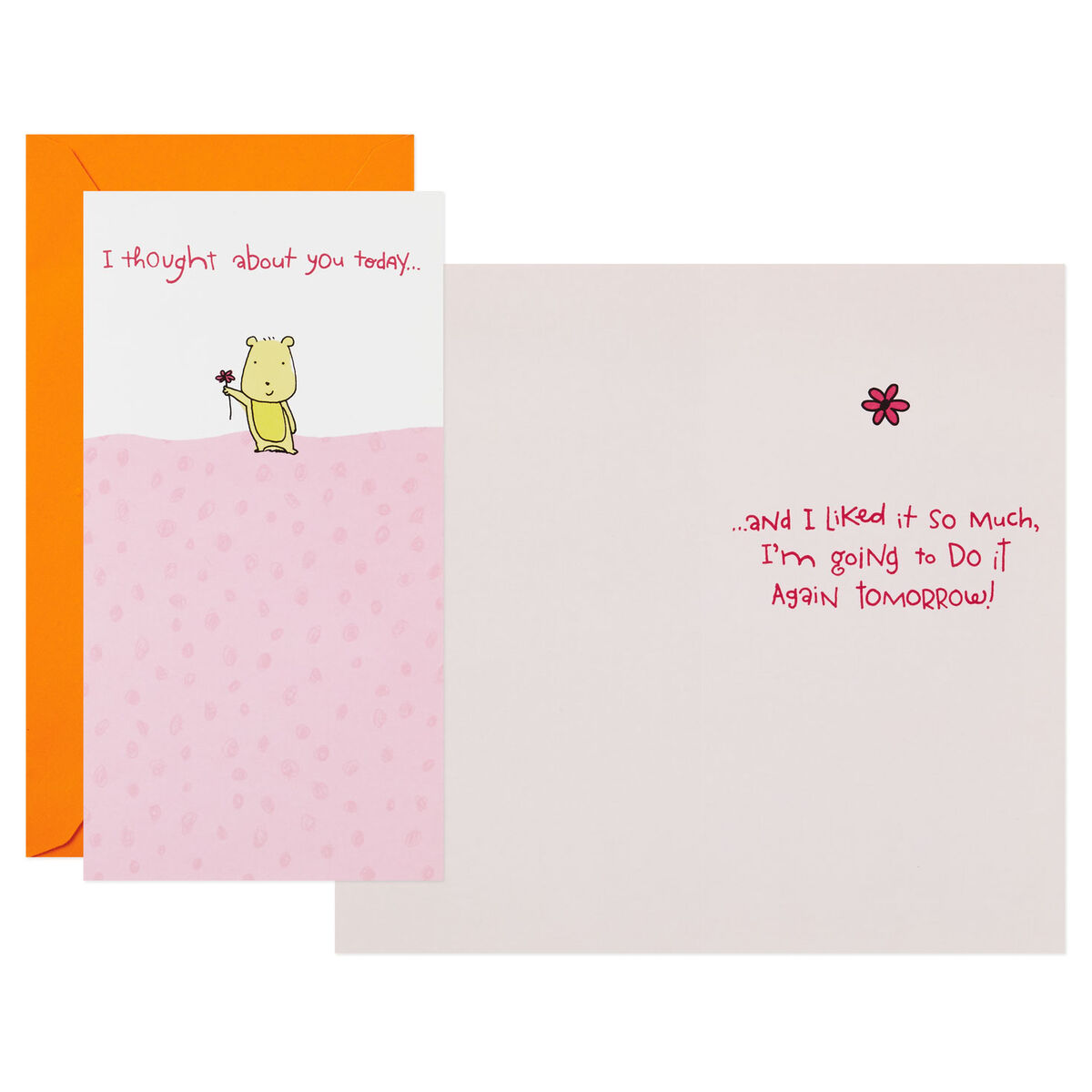 Assorted Thinking of You Cards, Pack of 6 Boxed Cards Hallmark