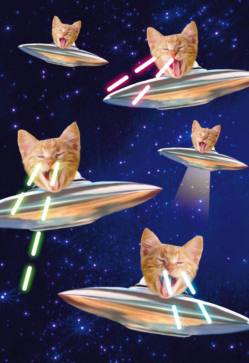 Laser-Eyed Kitties Birthday Card