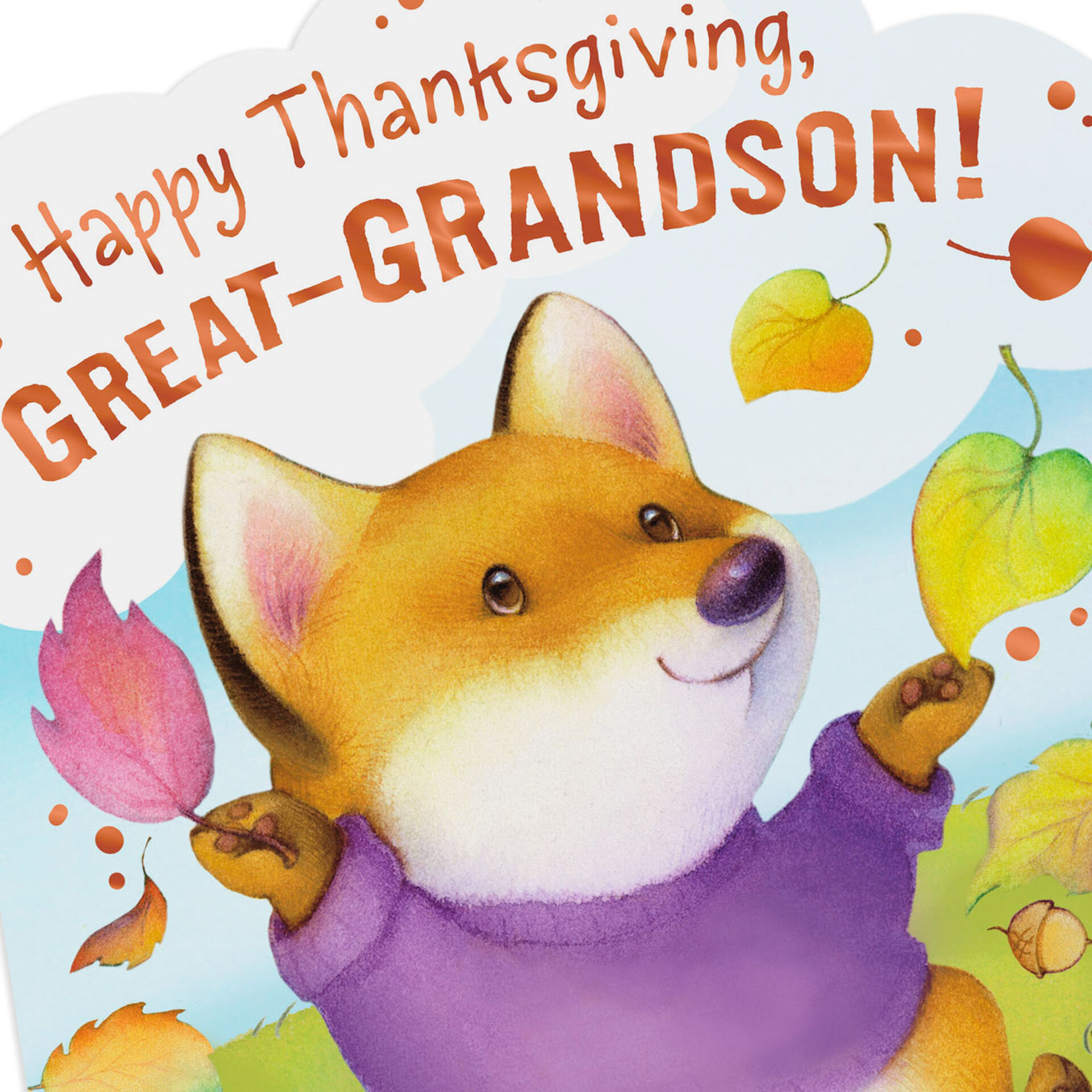 You're Special Thanksgiving Card for Great-Grandson ...