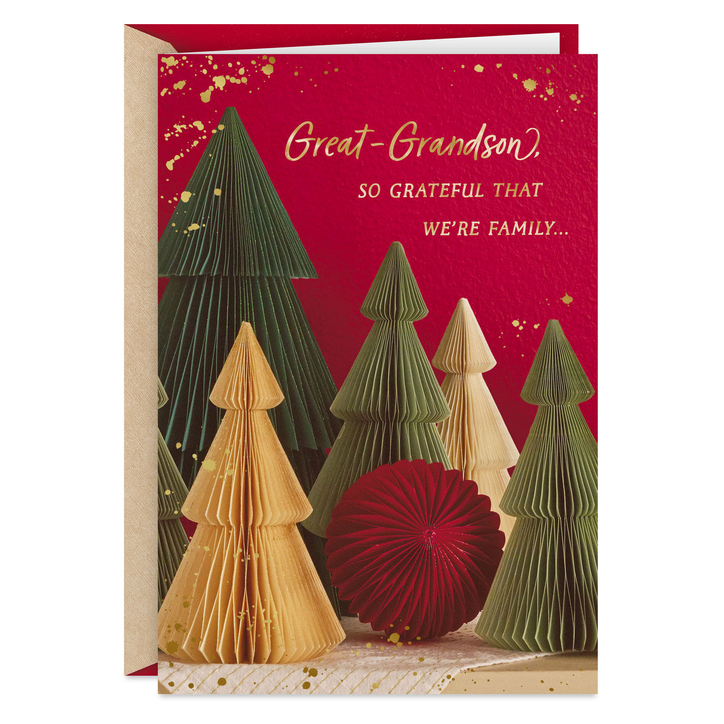 Grateful We're Family Christmas Card for Great-Grandson