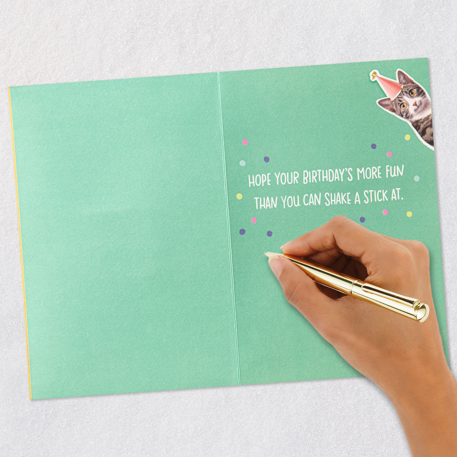 Cat With Pi&ntilde;ata Funny Birthday Card With Motion Signing card image number 6