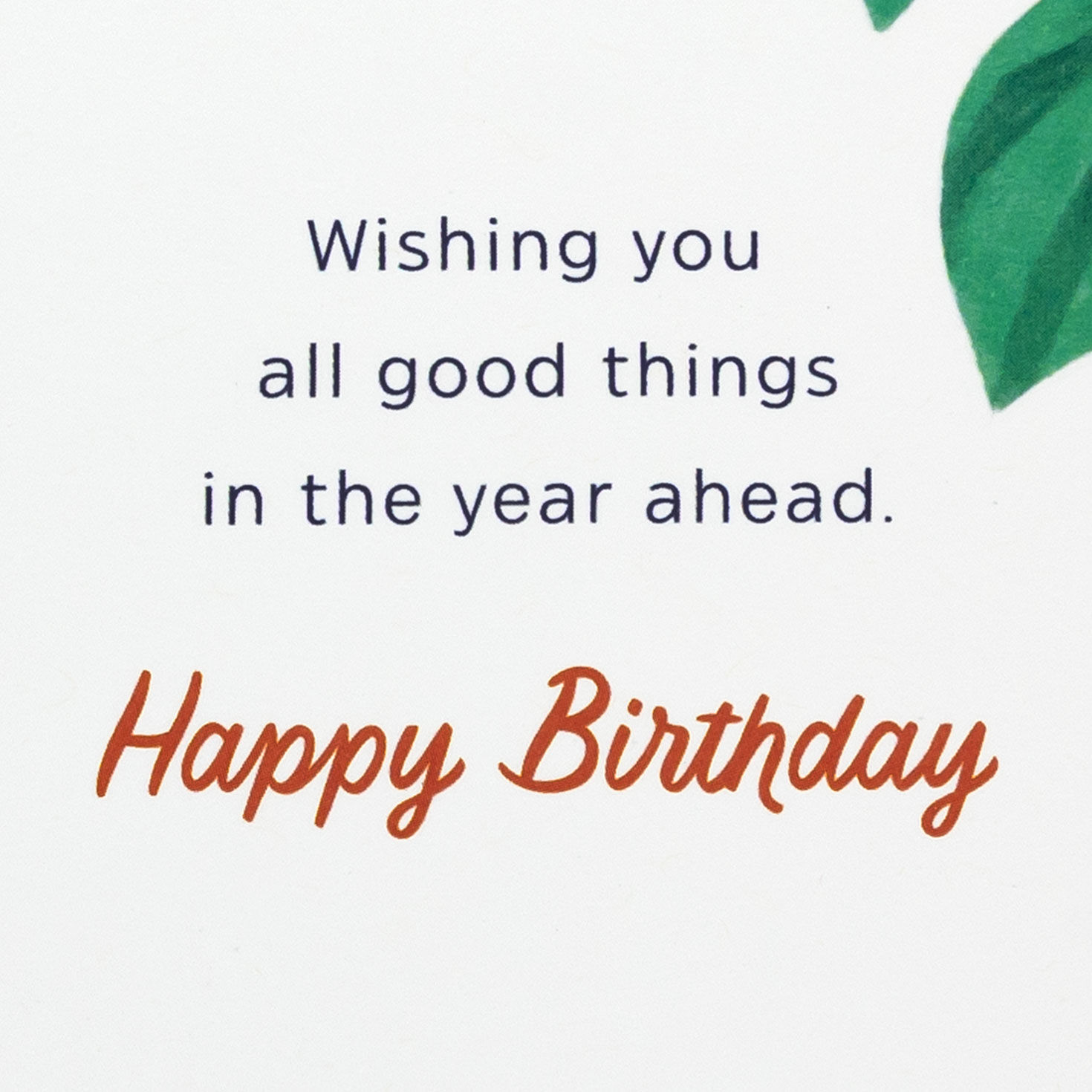 Blue Monstera Leaves with Cake Birthday Card Sentiment image number 2