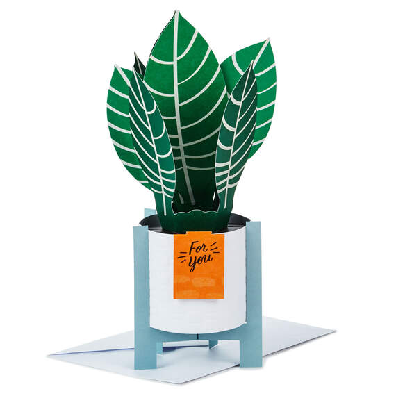 Zebra Plant Own Your Stripes 3D Pop-Up Thinking of You Card, , large image number 1