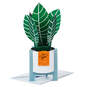 Zebra Plant Own Your Stripes 3D Pop-Up Thinking of You Card, , large image number 1