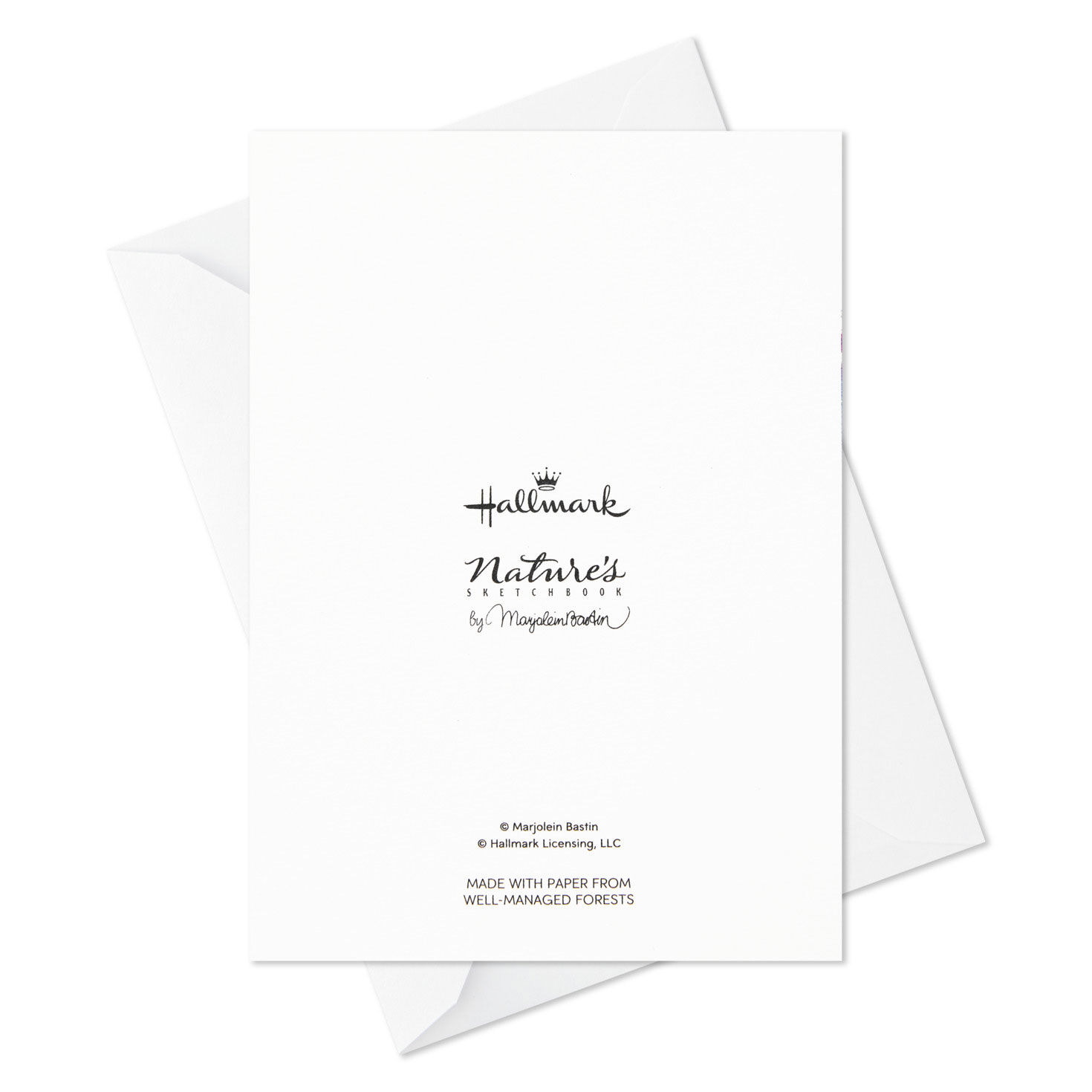 Marjolein Bastin Holiday Boxed Blank Christmas Note Cards Assortment, Pack of 24, , large image number 7