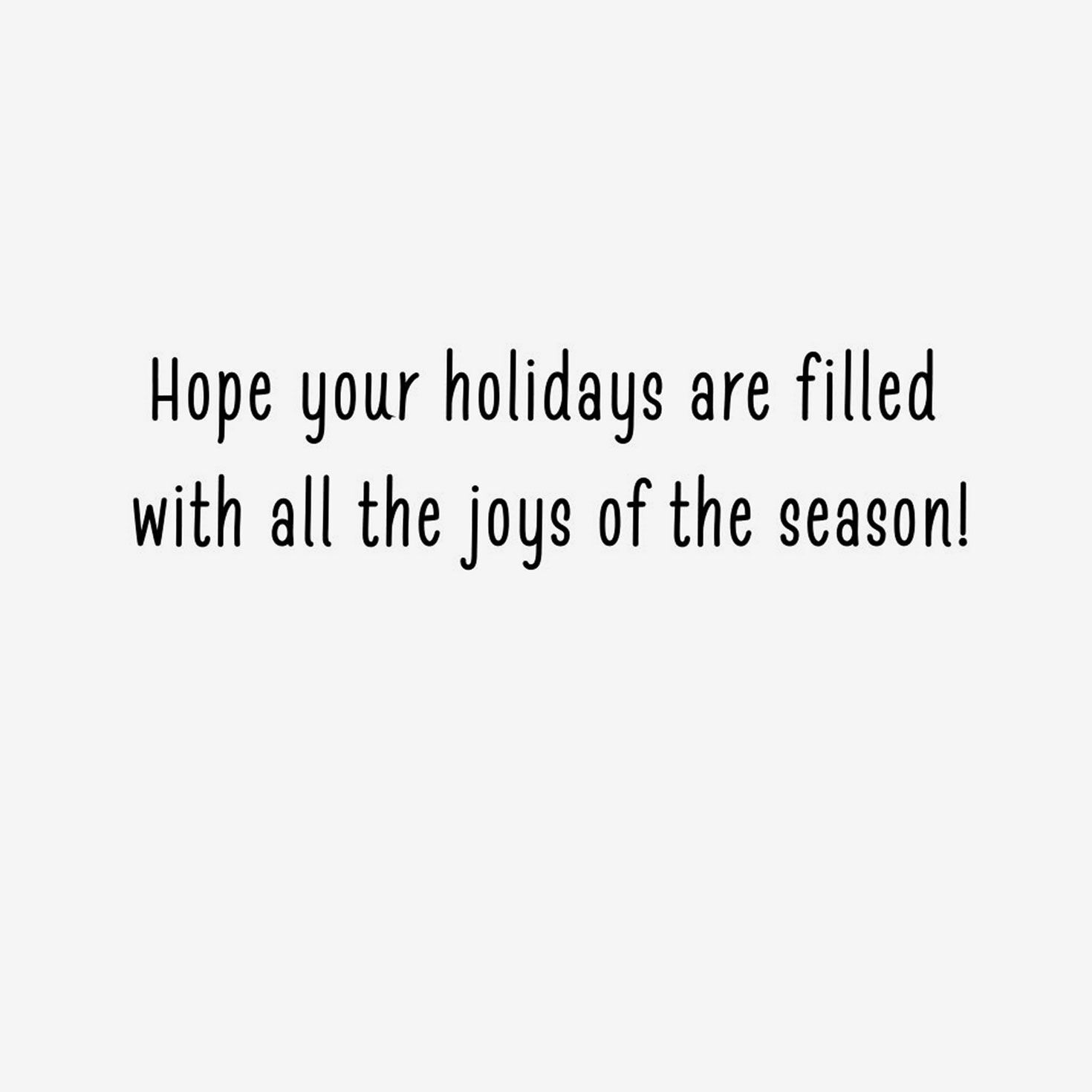Colorful Ball Ornaments Christmas Card Pack Sentiment  image number 3