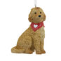 Goldendoodle Hallmark Ornament, , large image number 1