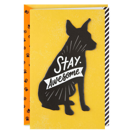 Good Dog Birthday Card For Dog Greeting Cards Hallmark