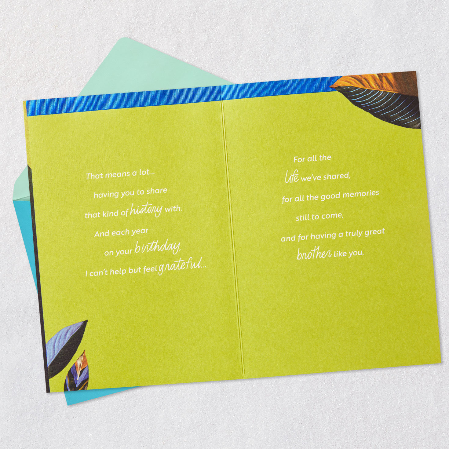 We've Shared So Much Birthday Card for Brother for only USD 5.59 | Hallmark