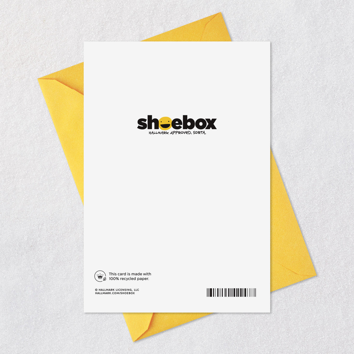 Dog, Cat and Yarn Ball Funny Birthday Card Card Back with Envelope image number 7