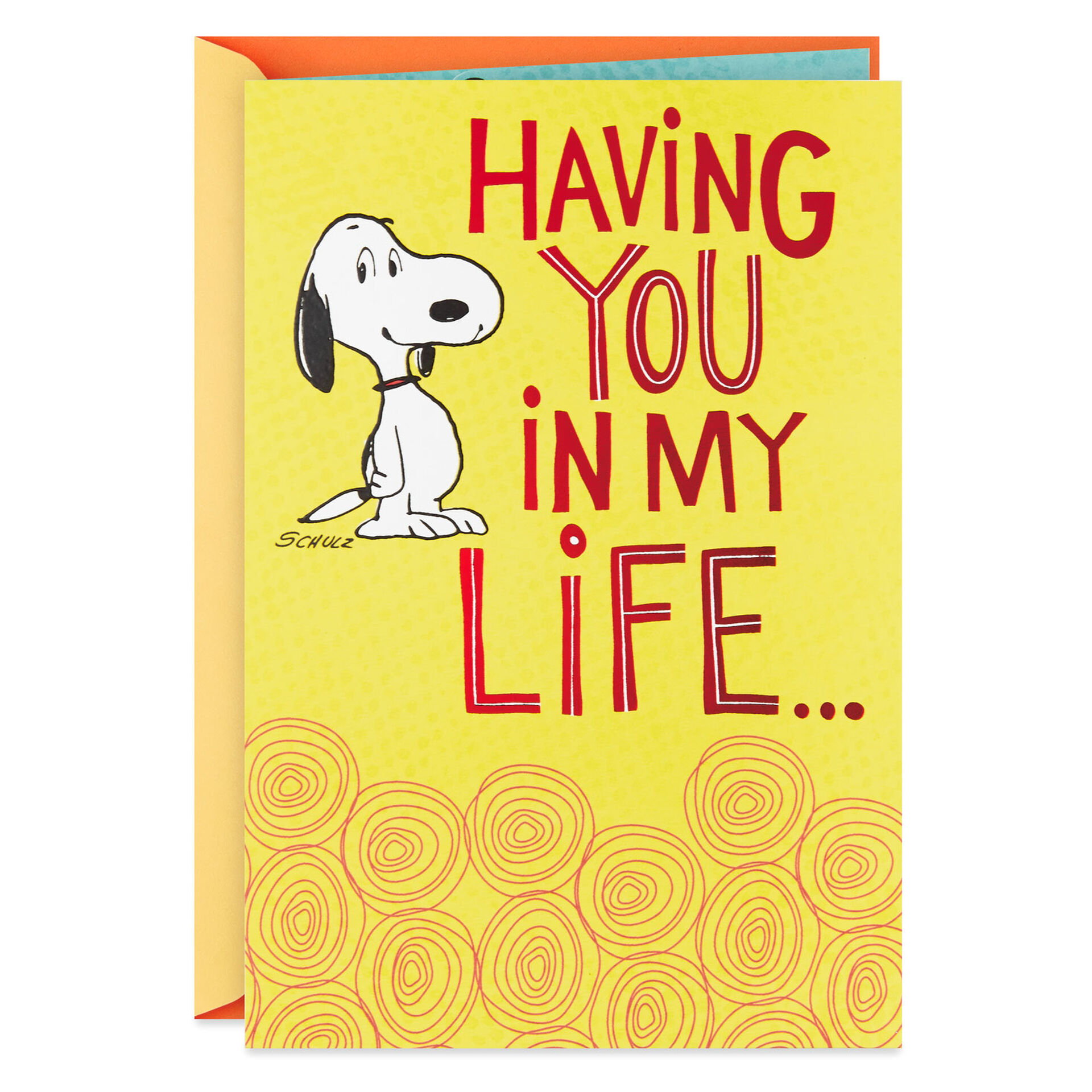 Peanuts and Snoopy Cake Hallmark Pop Up Peanuts Birthday Card 