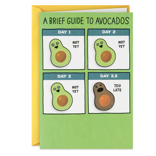 A Brief Guide to Avocados Funny Birthday Card, 