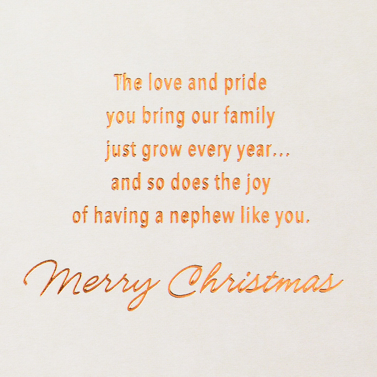 Stacked Presents Nephew Christmas Card Sentiment image number 2