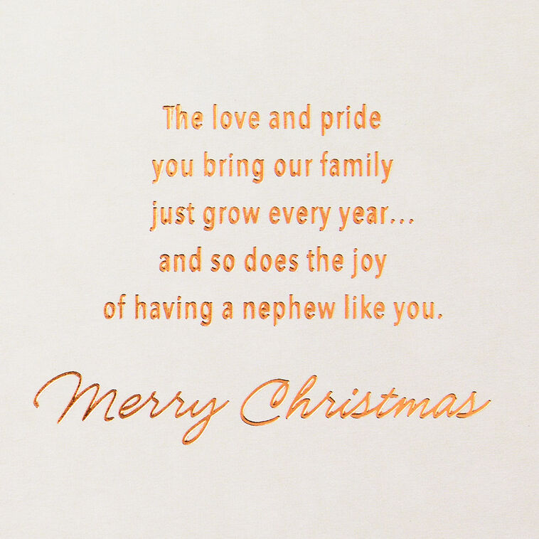 Stacked Presents Nephew Christmas Card Sentiment image number 2