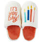 It's You Day Birthday Slippers With Sound, Large/X-Large, , large image number 1
