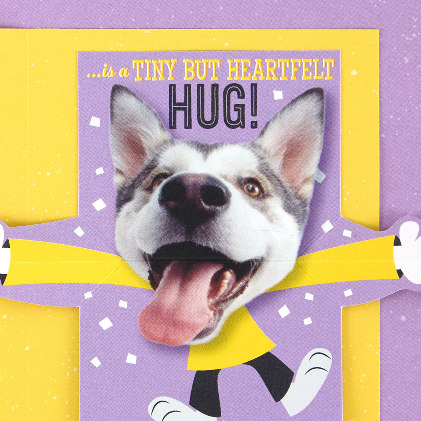 Dog With Lots of Wishes Birthday Card Sentiment image number 3