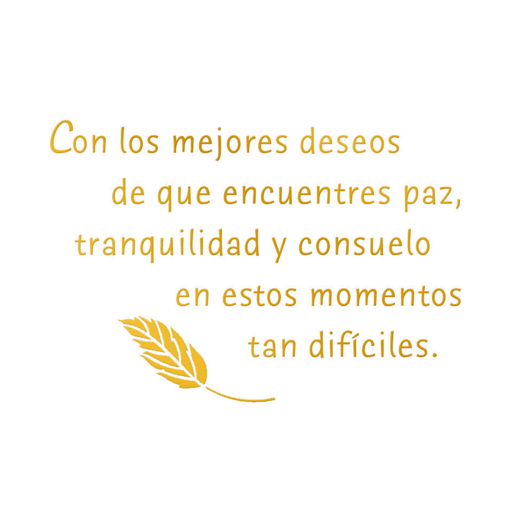 a wish for peace and comfort spanish language sympathy card