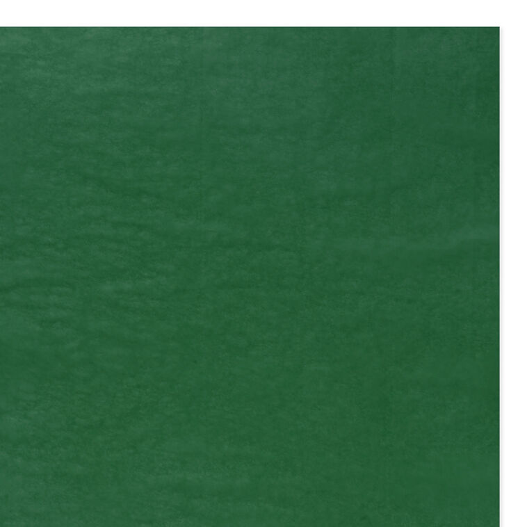 Solid Green Holiday Tissue Paper flat image number 4