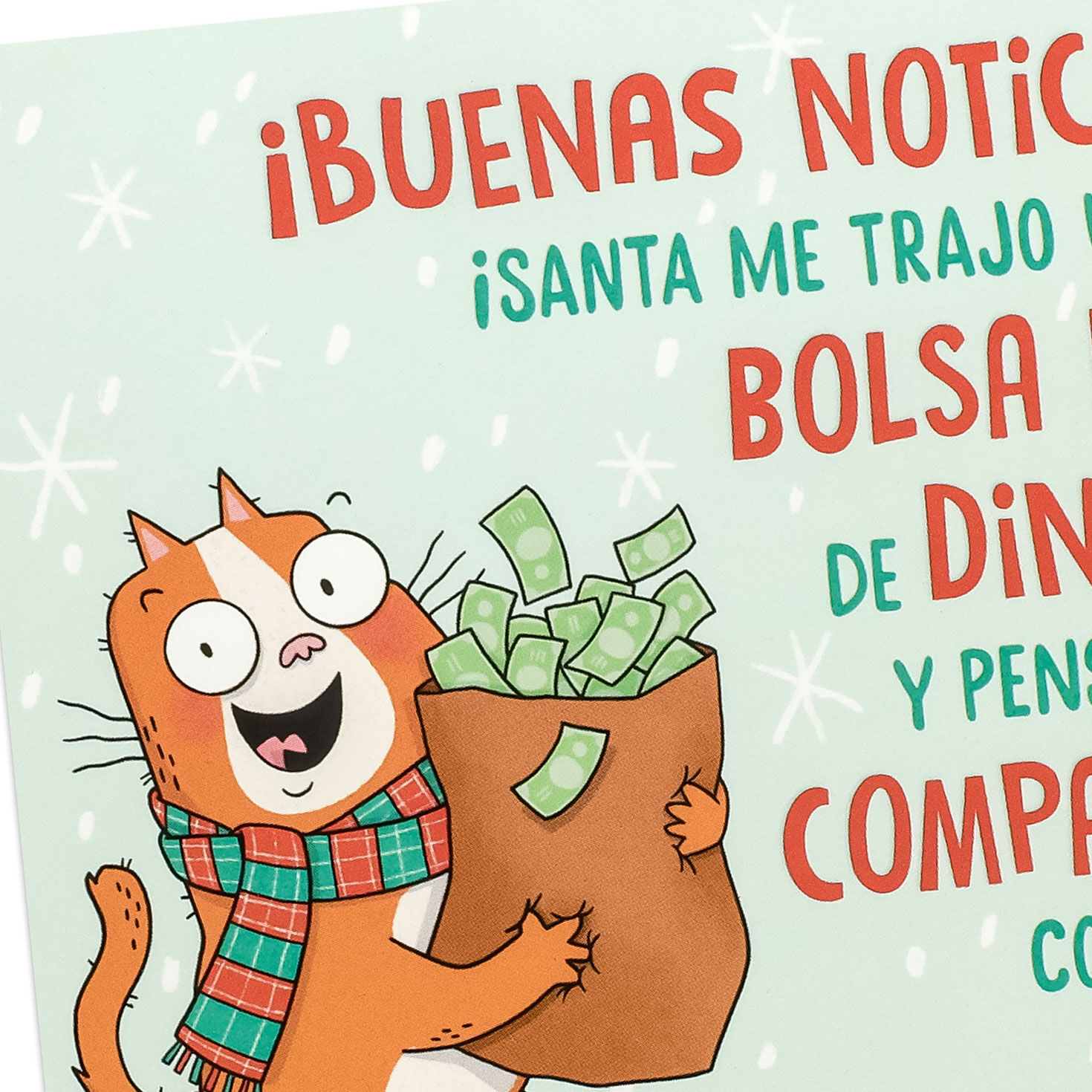 Orange Cat With Bag of Money Funny Christmas Card Card Front Detail image number 5