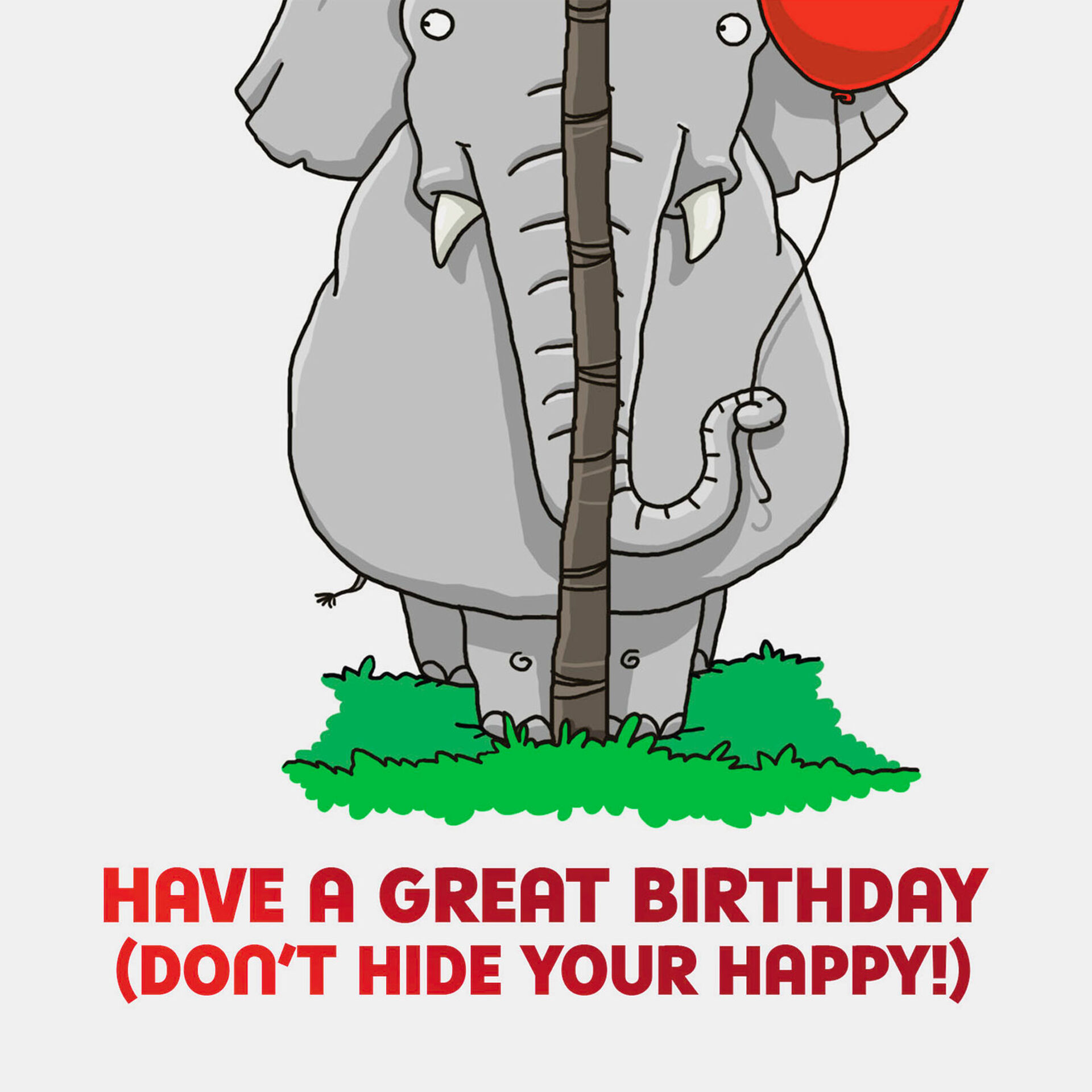 Elephant Brain Teaser Birthday Card Greeting Cards Hallmark