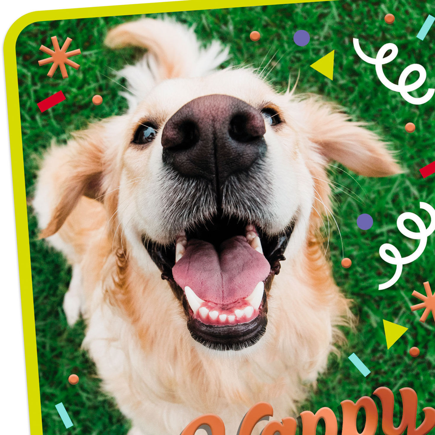 Doggone Happiness Birthday Card, , large image number 4