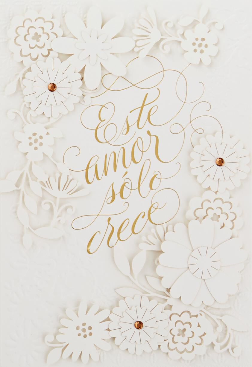 Este Amor Spanish Language Anniversary Card