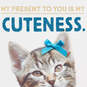 Cuteness Kitten Birthday Card, , large image number 4