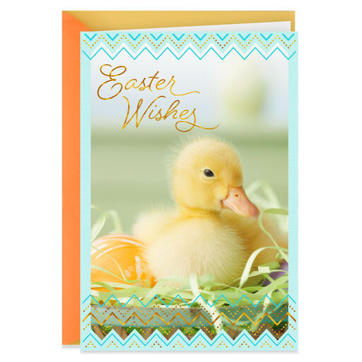 Blessings and Joy Duckling Easter Card, 