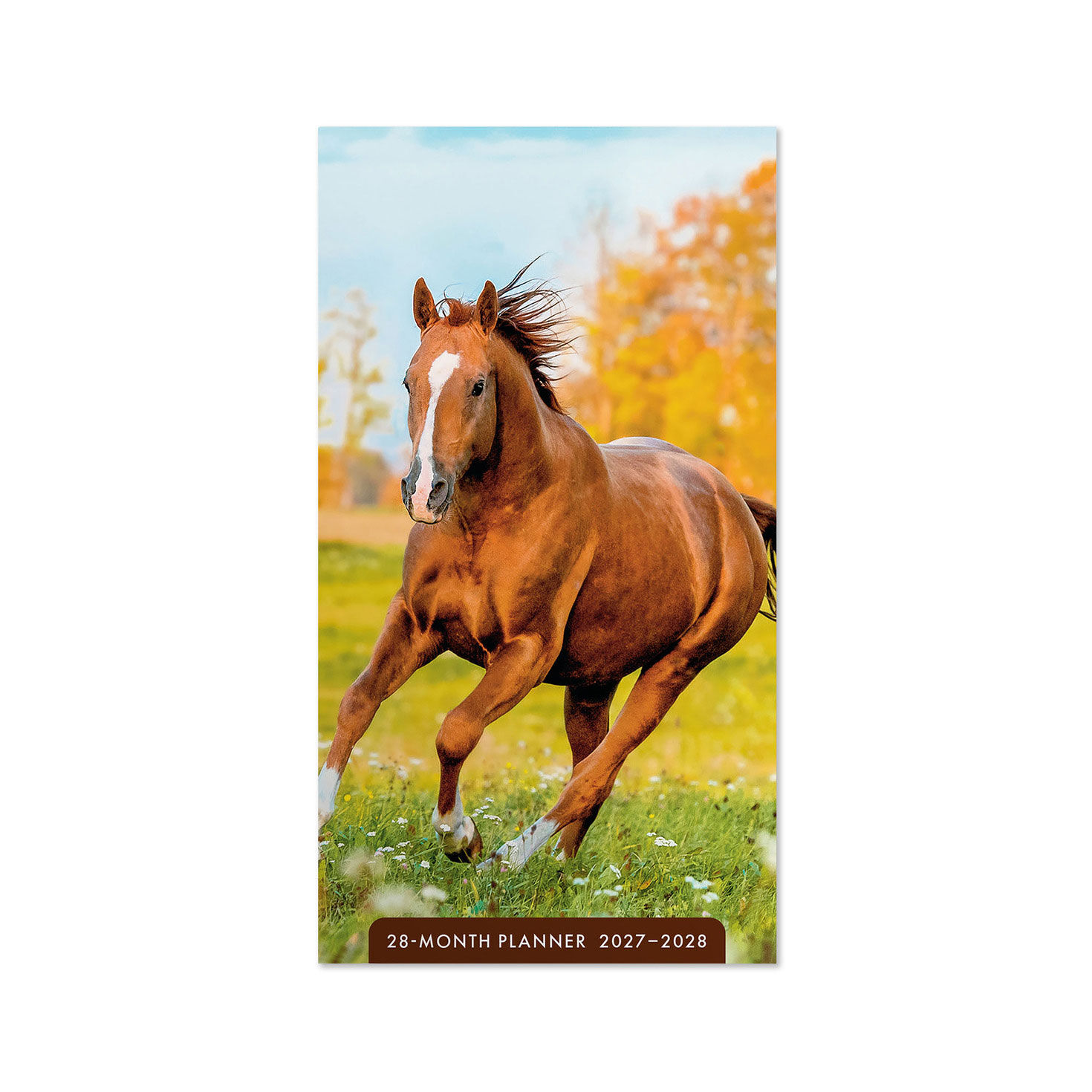 Sorrel Horse 2027-2028 Pocket Planner, 28-Month