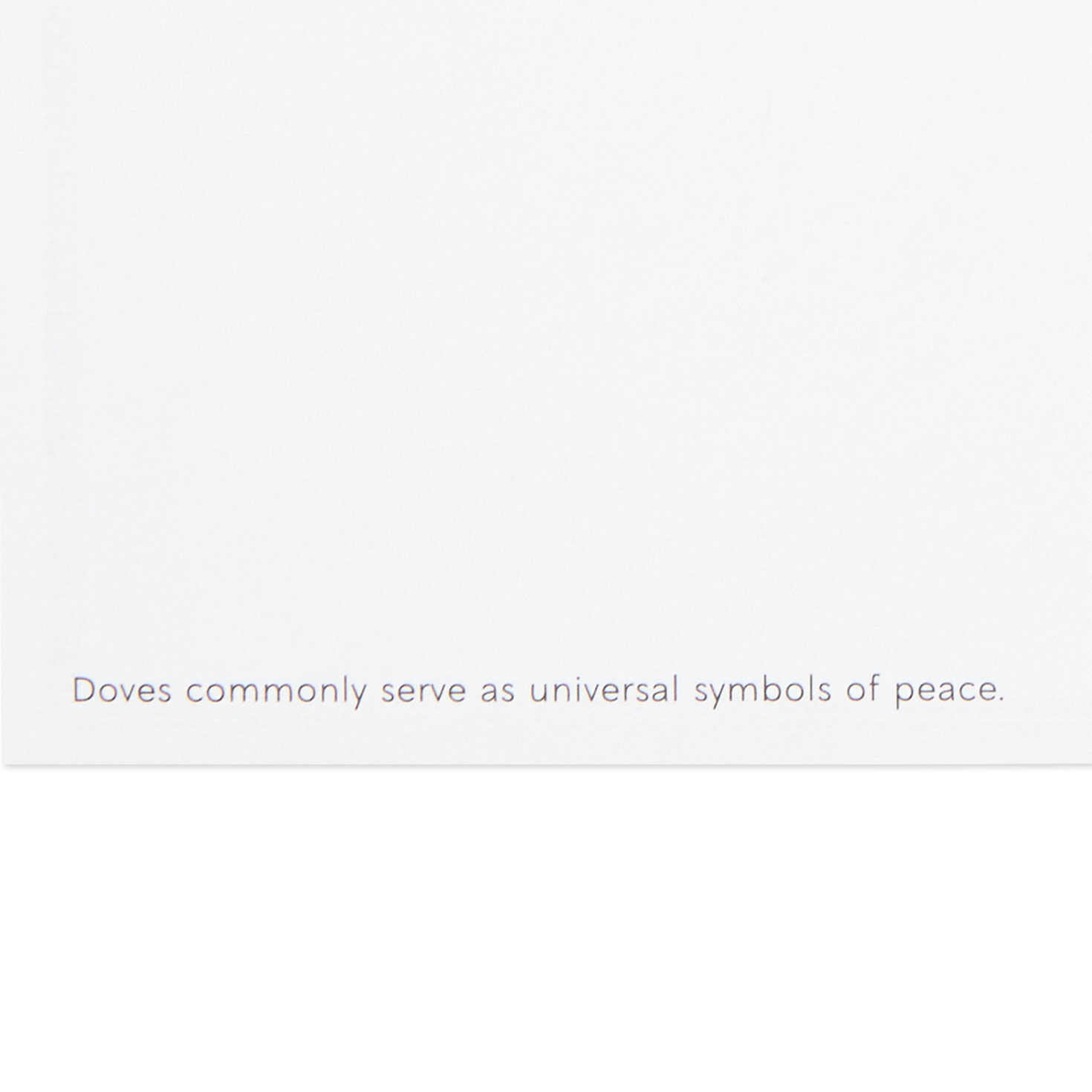 Holly Tree UNICEF Boxed Christmas Cards Sentiment image number 5