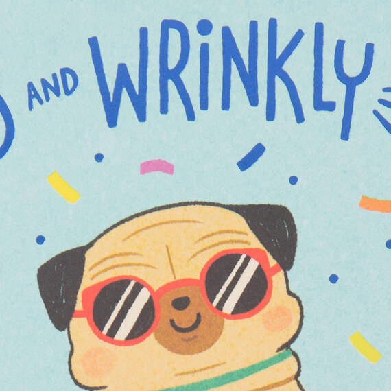 Old and Wrinkly Pug Funny Birthday Card, , large image number 4