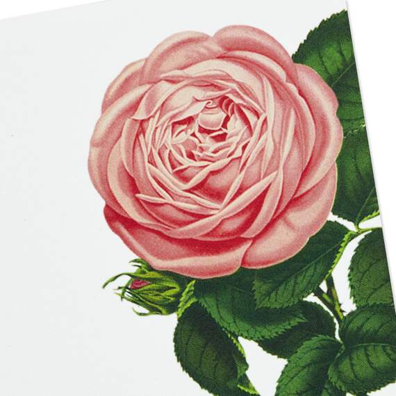 Cream and Pink Roses Blank Flat Note Cards With Caddy, Box of 40, , large image number 4