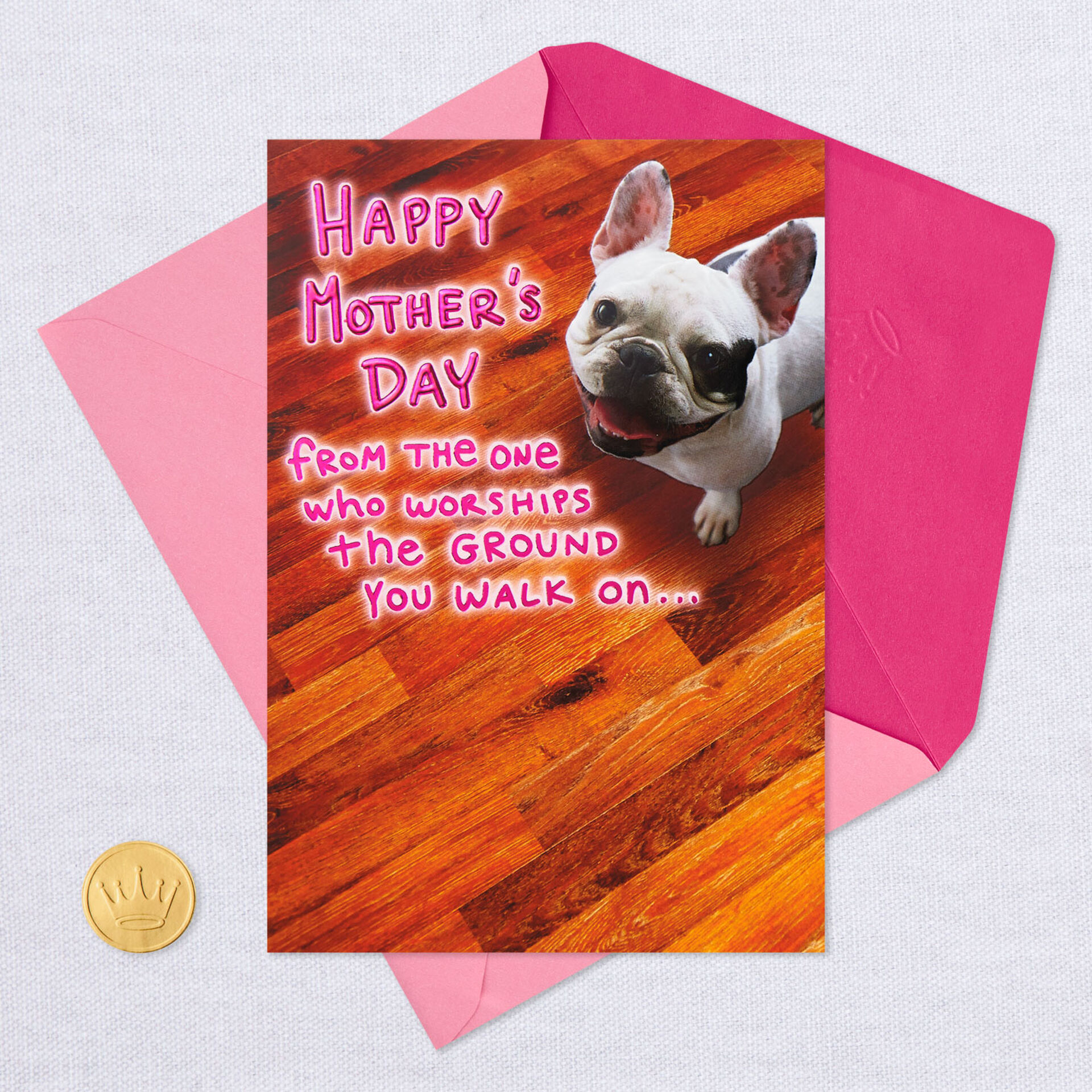 The Ground You Walk On Funny Mother's Day Card From the Dog - Greeting Cards - Hallmark