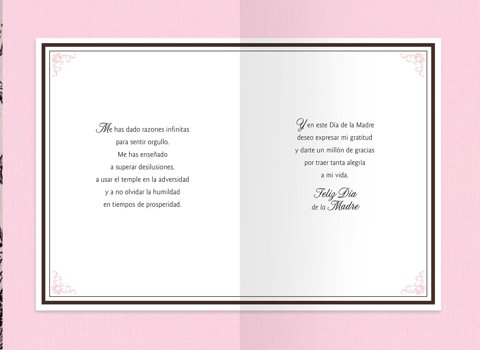 So Many Reasons Spanish-Language Mother's Day Card