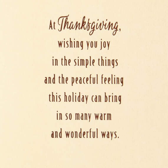 Season of Gratitude Thanksgiving Card, , large image number 2