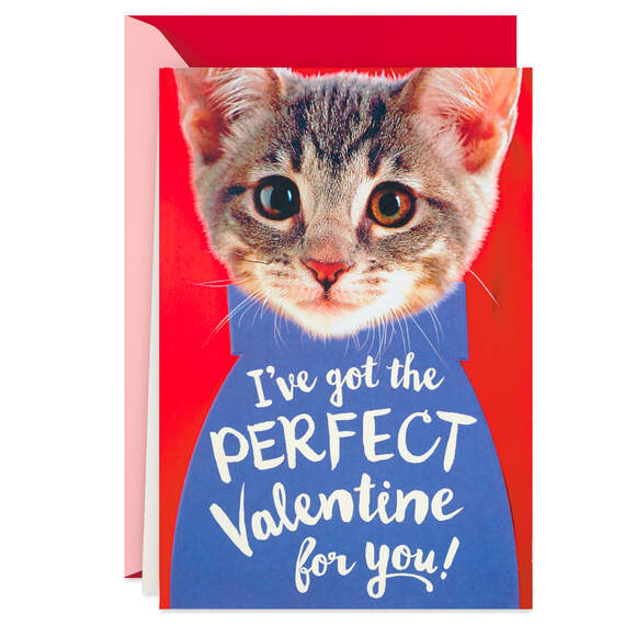 Cute Cat Romantic Pop-Up Valentine's Day Card, , large image number 1
