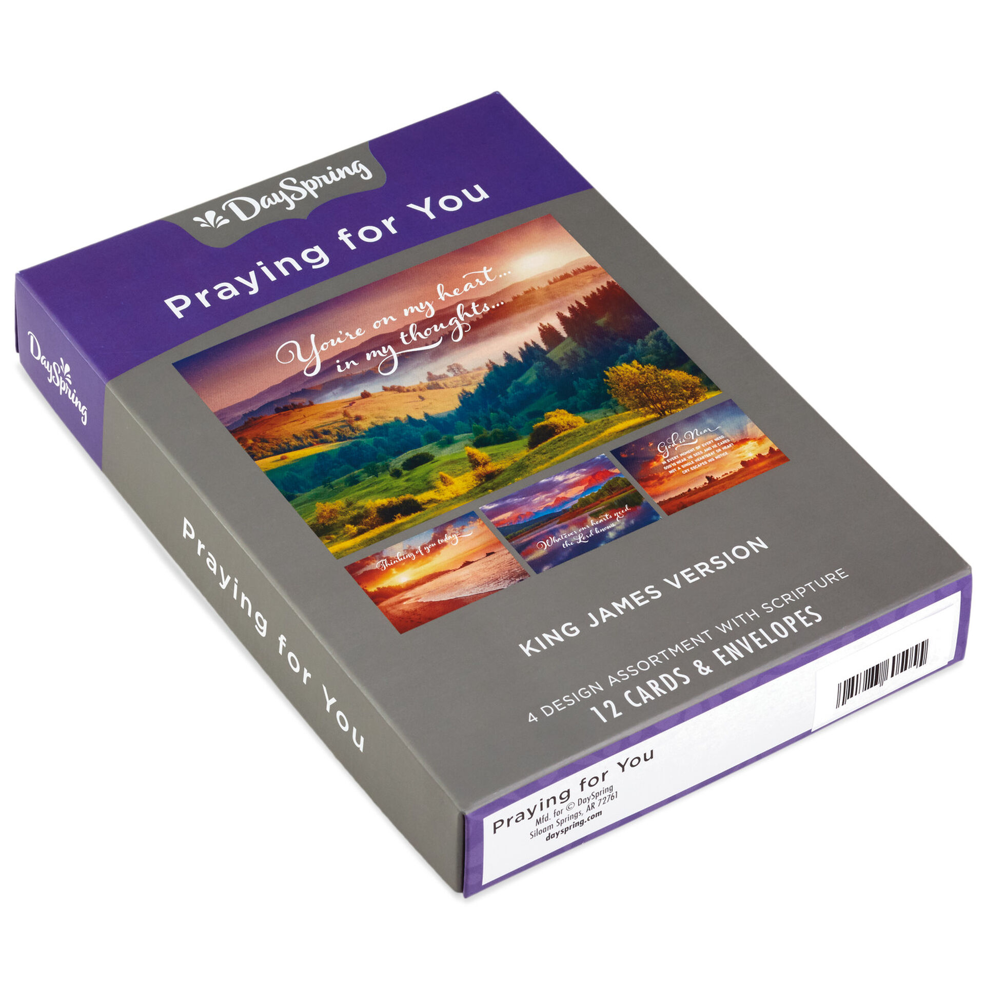 DaySpring Landscape Assorted Religious Thinking of You Cards, Box of 12