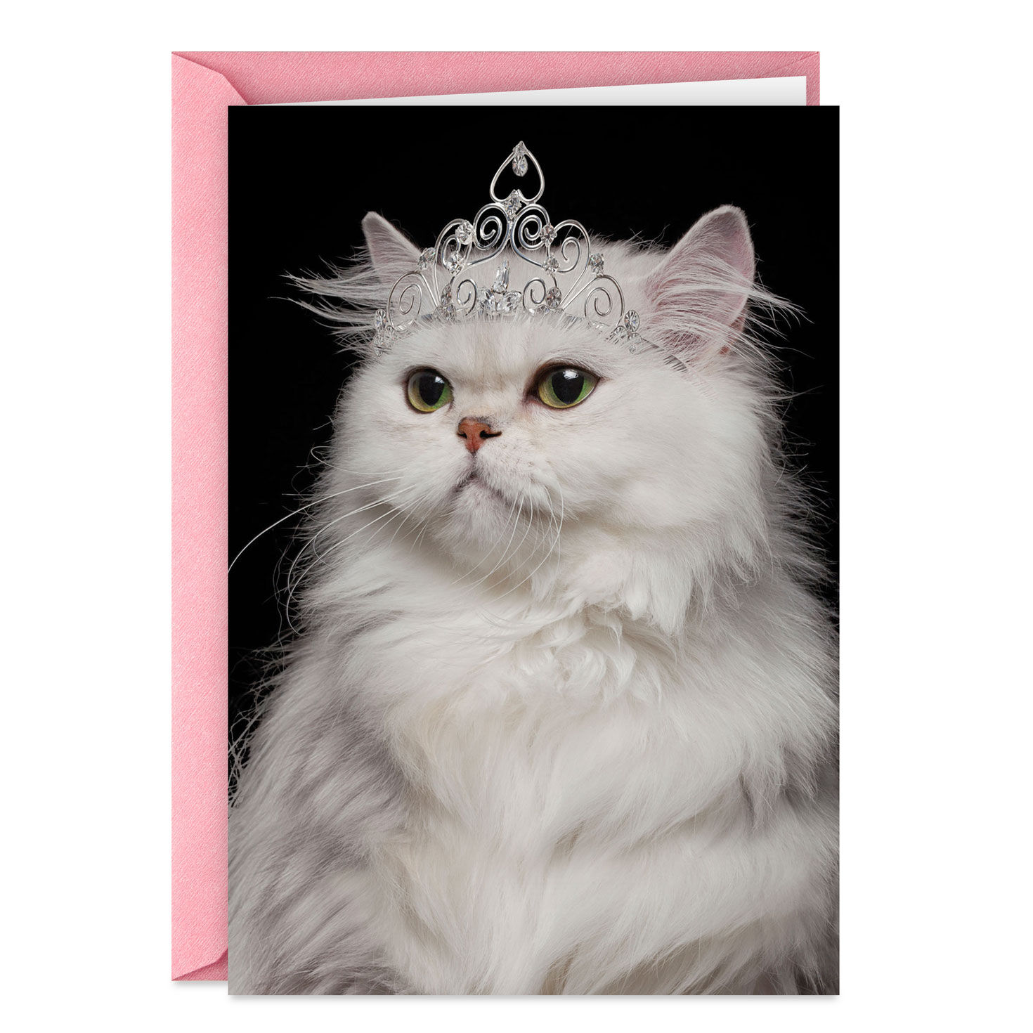 You're the Damn Queen Funny Birthday Card
