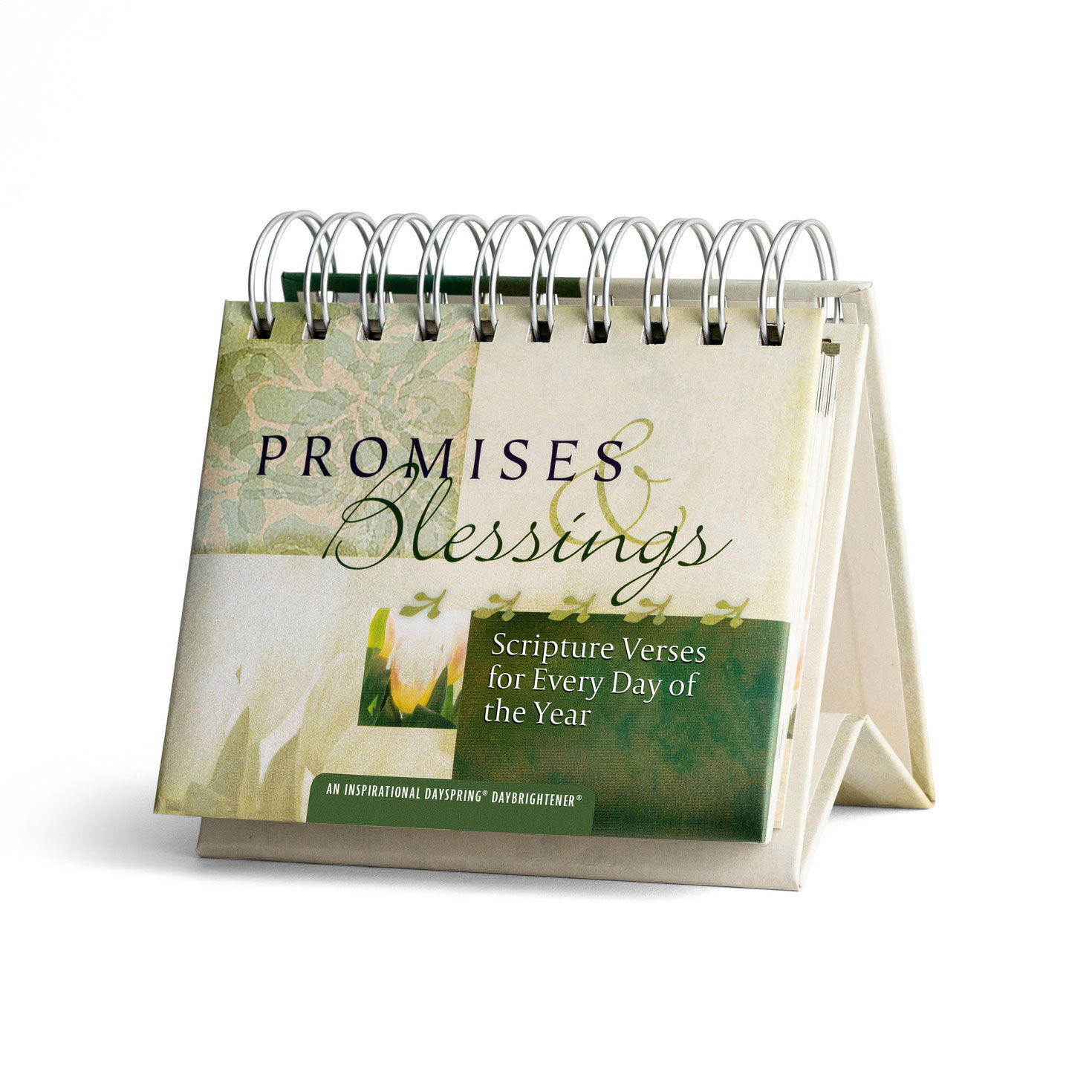 Promises & Blessings 365-Day Perpetual Calendar