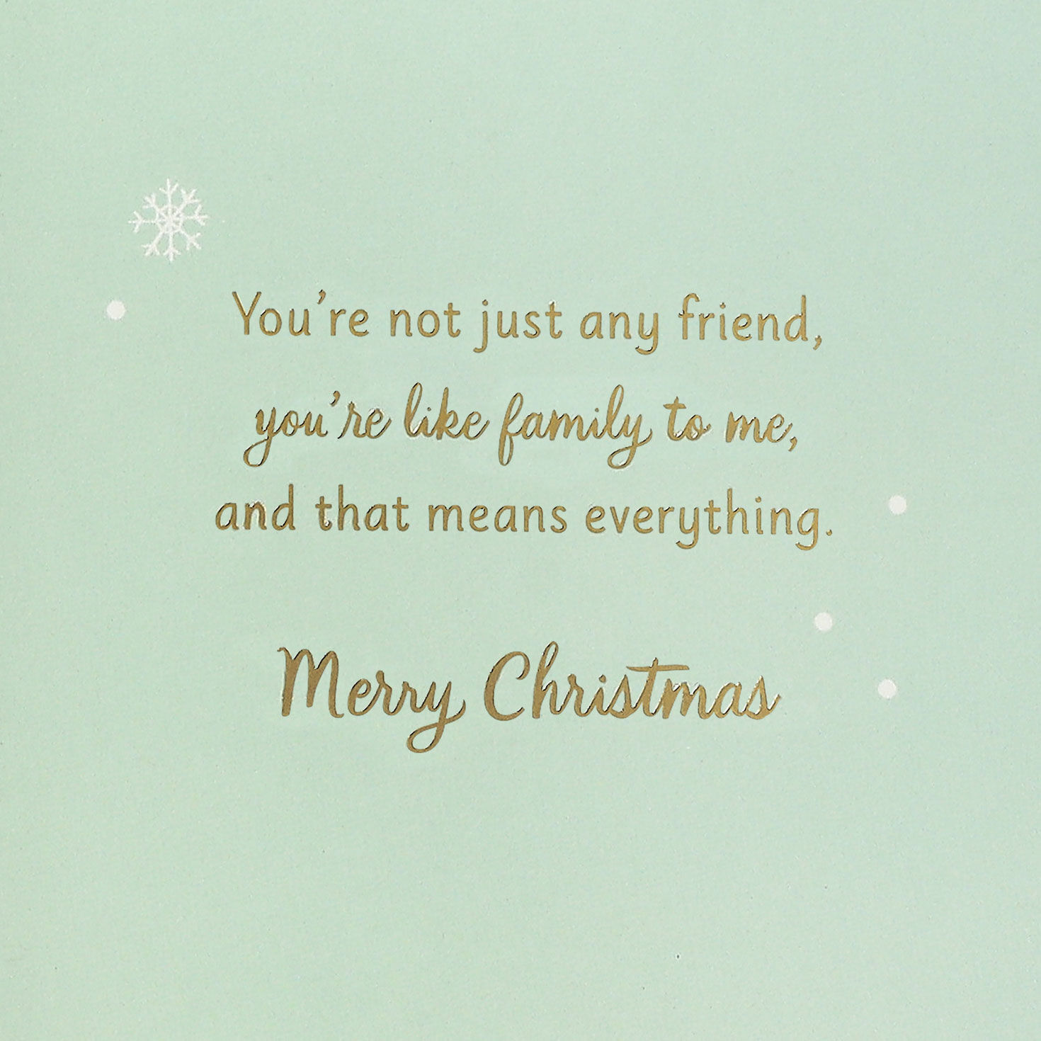 Bird and Mittens on Tree Friend Christmas Card Sentiment image number 3