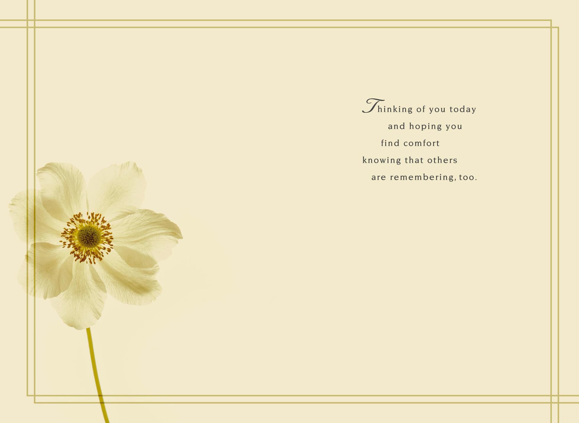 Photographic Flower Sympathy Mother's Day Card