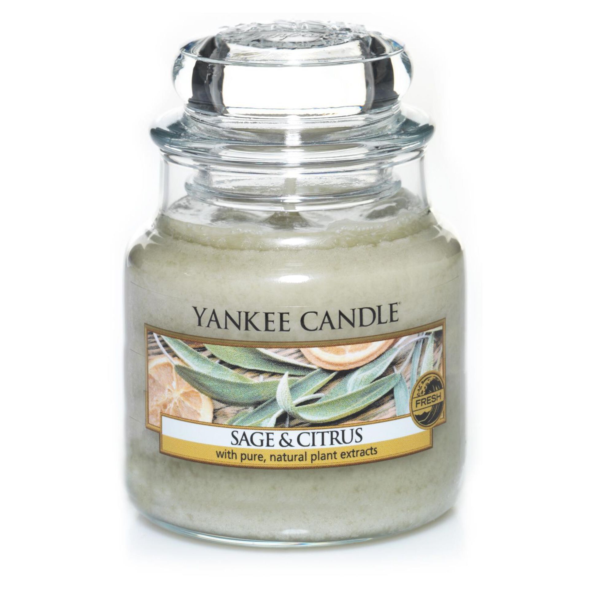 Sage & Citrus Small Jar Candle by Yankee Candle® Candles Hallmark