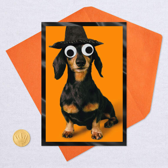 Happy Hallowiener Witch Dog Funny Halloween Card, , large image number 5