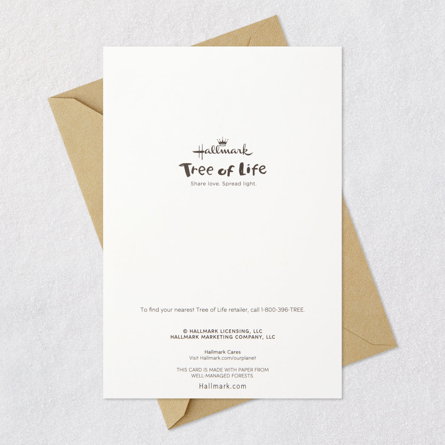 Apples and Leaves Rosh Hashanah Cards, Pack of 6 Card Back with Envelope image number 7