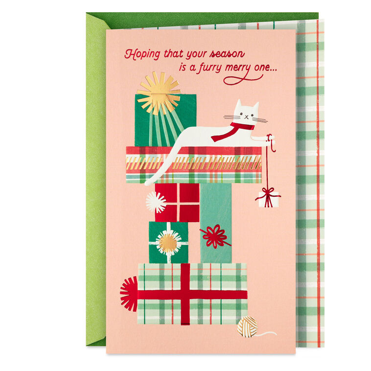 Furry Wishes Christmas Card From Cat