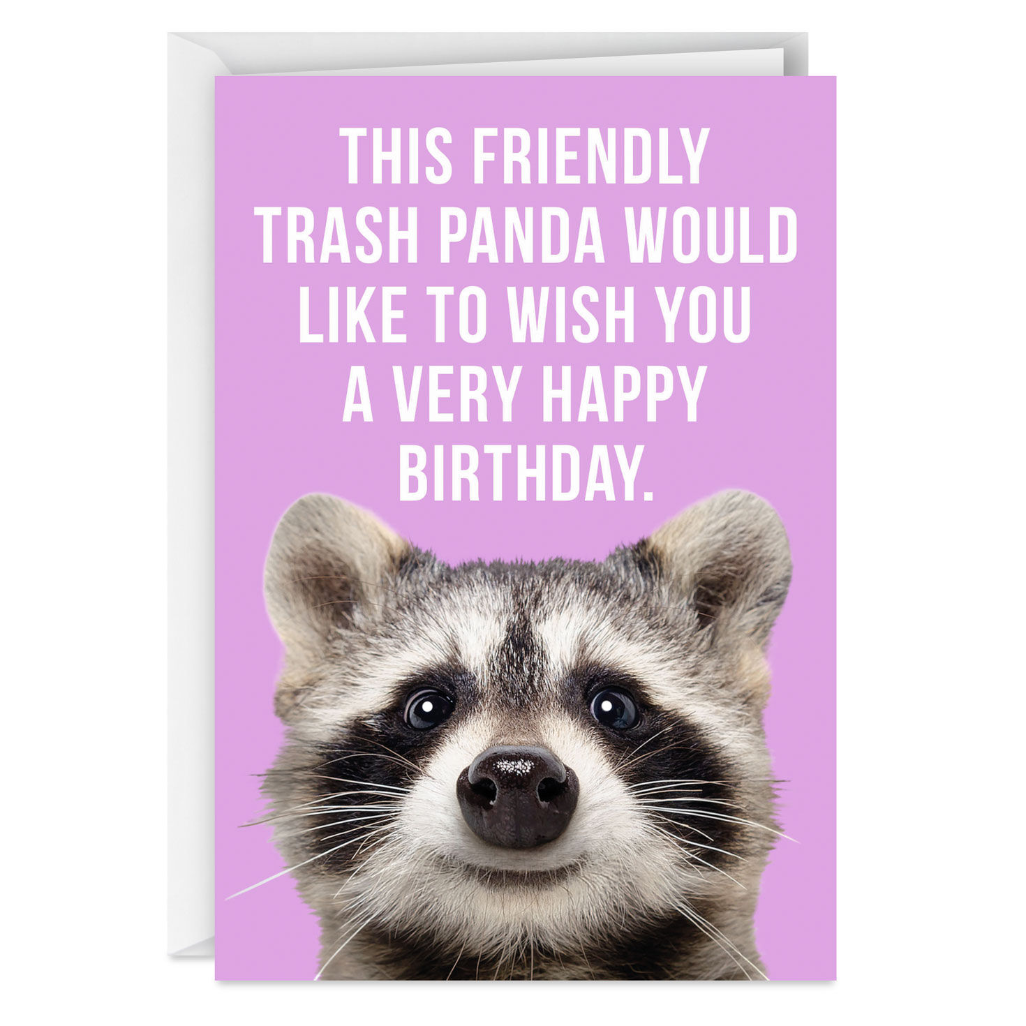 Friendly Trash Panda Funny Birthday Card, , large image number 1