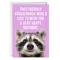 Friendly Trash Panda Funny Birthday Card, , large image number 1