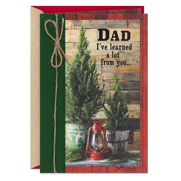 I've Learned a Lot From You Christmas Card for Dad