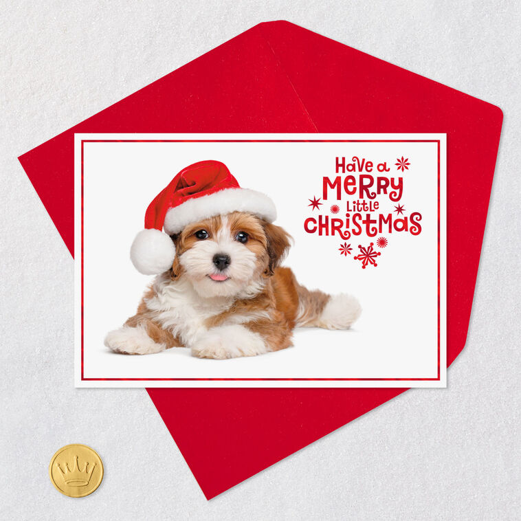 Warm Smiles Puppy Dog in Santa Hat Christmas Card, , large image number 5