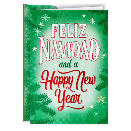 Feliz Navidad and Happy New Year Boxed Christmas Cards, Pack of 16, 